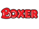 General Workers At Boxer Stores