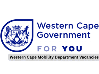 Western Cape Mobility Department Vacancies
