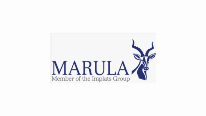 Untitled design (12) Marula Platinum Mine Engineering Learnership