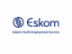 Eskom Youth Employment Service